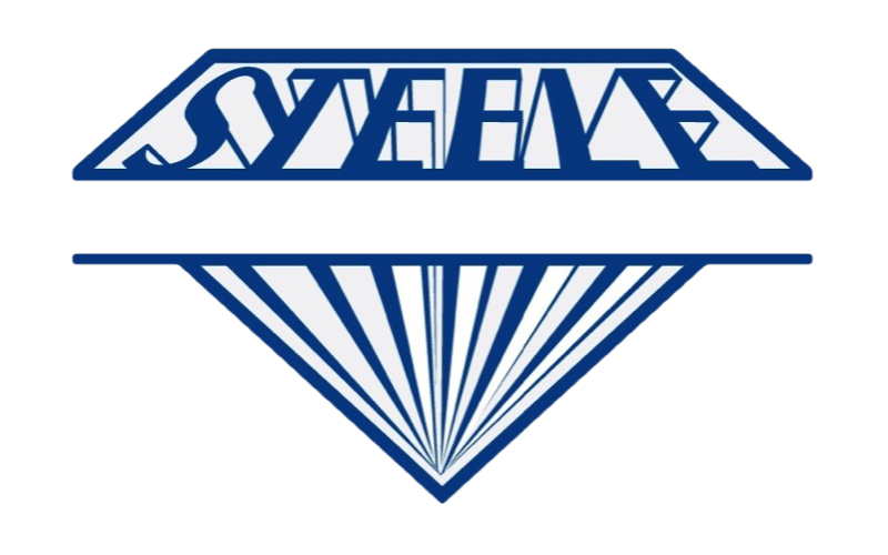 steele insurance logo